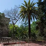 Ecozentric Barcelona