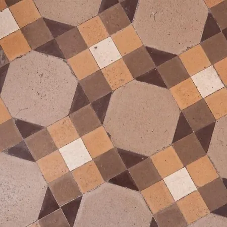 Ecozentric Barcelona