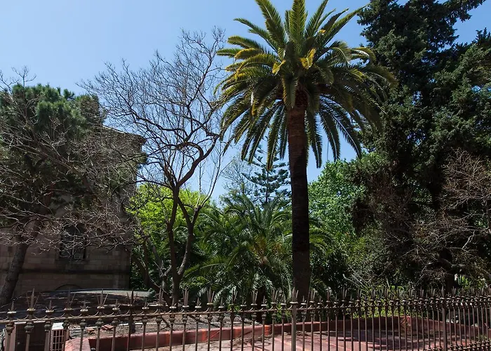 Ecozentric Barcelona